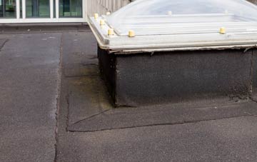 disadvantages of Tregaian flat roofs