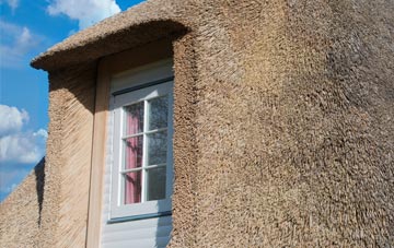 Tregaian thatch roof disadvantages